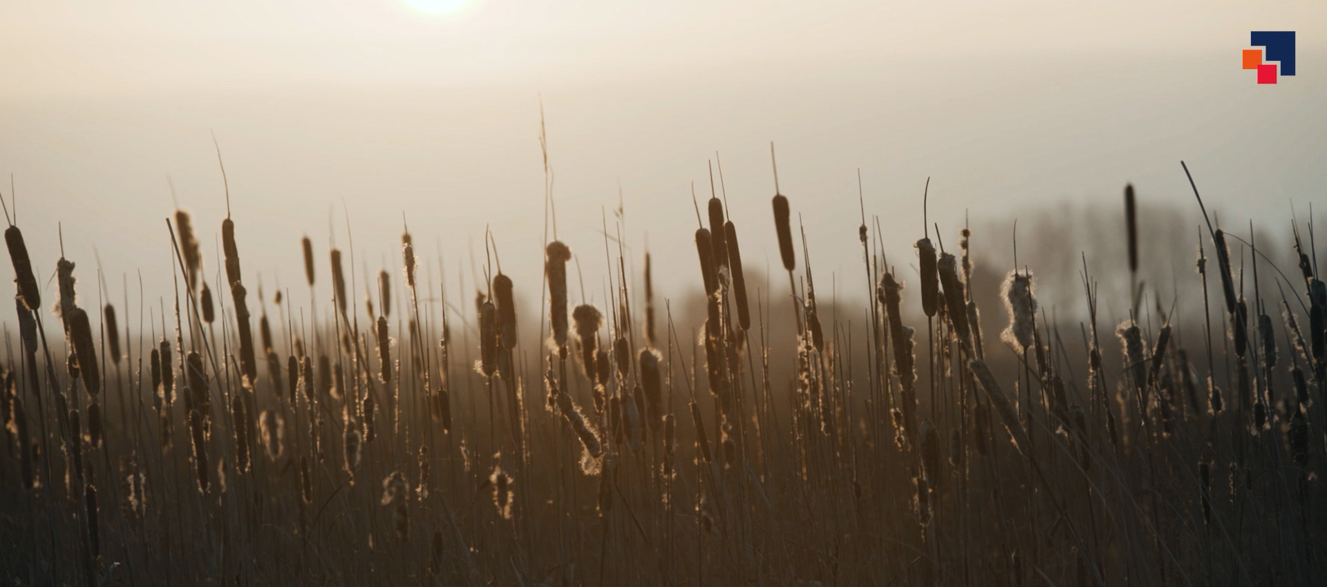 header afbeelding